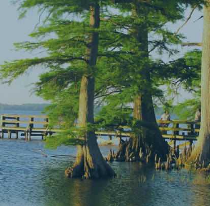TOWN OF OBION ATTRACTIONS TOWN OF OBION ATTRACTIONS