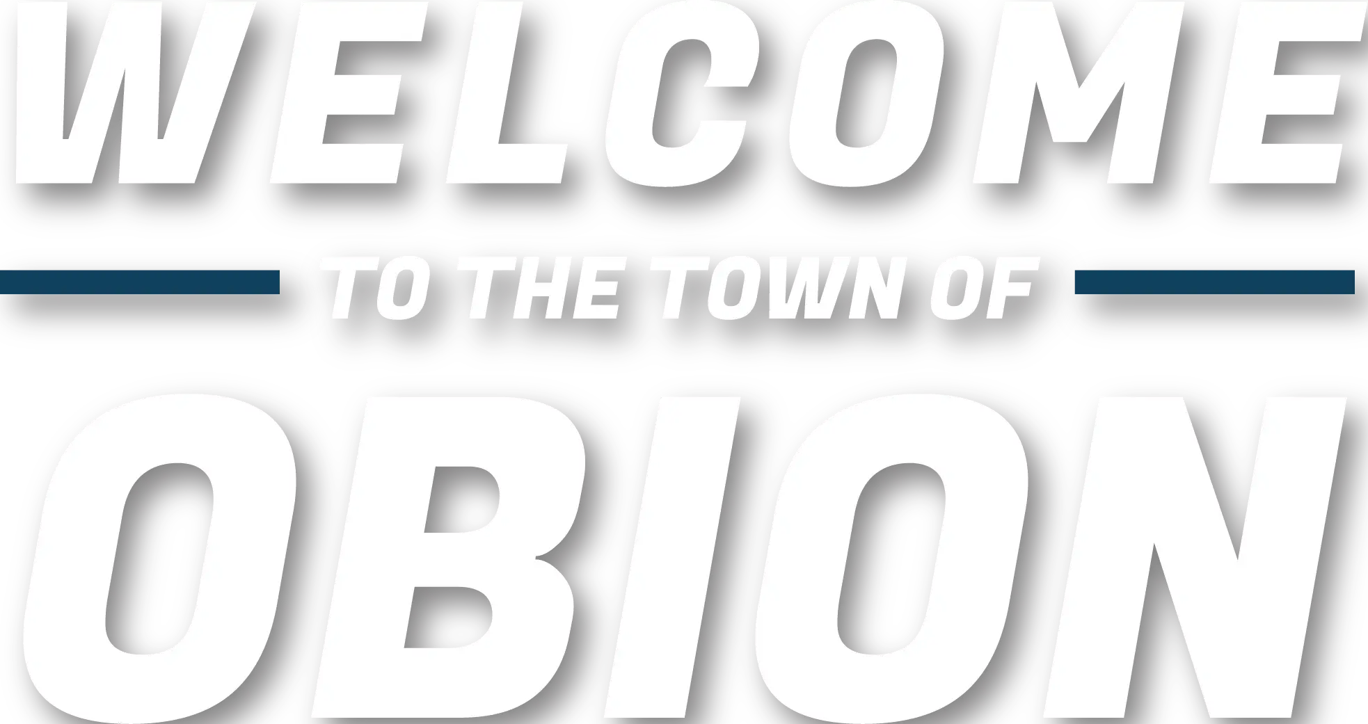 Welcome to the Town of Obion