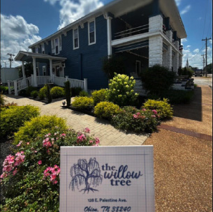TOWN OF OBION WILLOW TREE