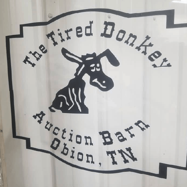 tired donkey