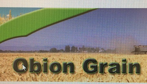 Obion Grain Co.